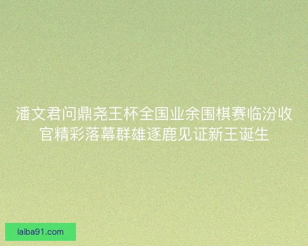 潘文君问鼎尧王杯全国业余围棋赛临汾收官精彩落幕群雄逐鹿见证新王诞生